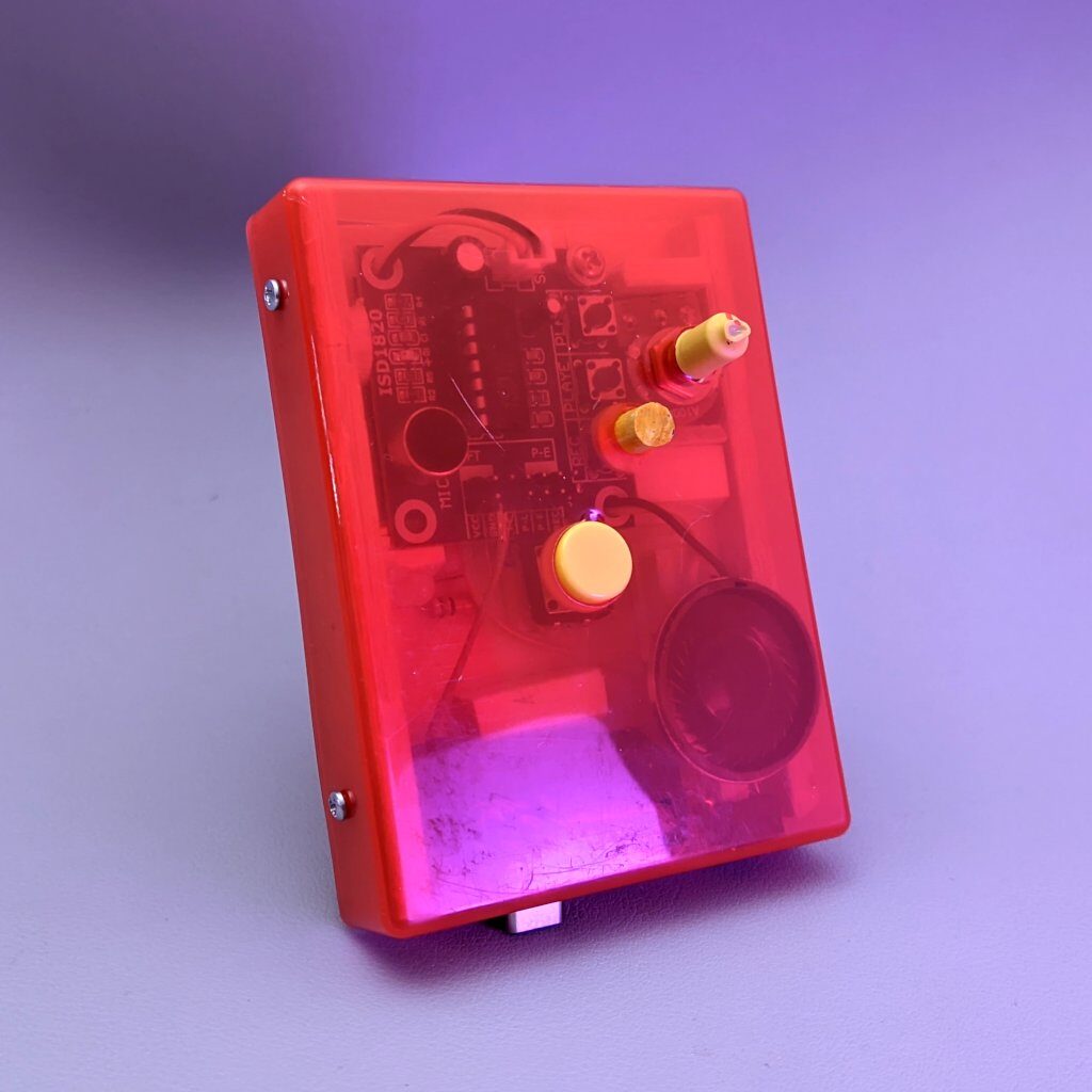 The Electronic Box – DIY STEM kit to let kids play with basic electronics  components. It's filled with switches, toggles, potentiometers, ands LEDs.  It also features a tone generator, a timer, a